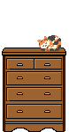 catdrawer.gif