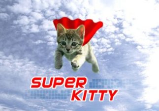 superkitty.jpg